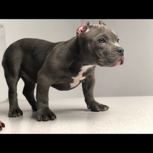 Meet your Posher, Martell